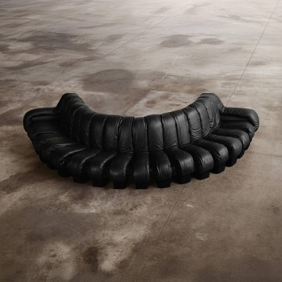 DS-600 “Snake” Sofa for De Sede, Black Leather, 1972