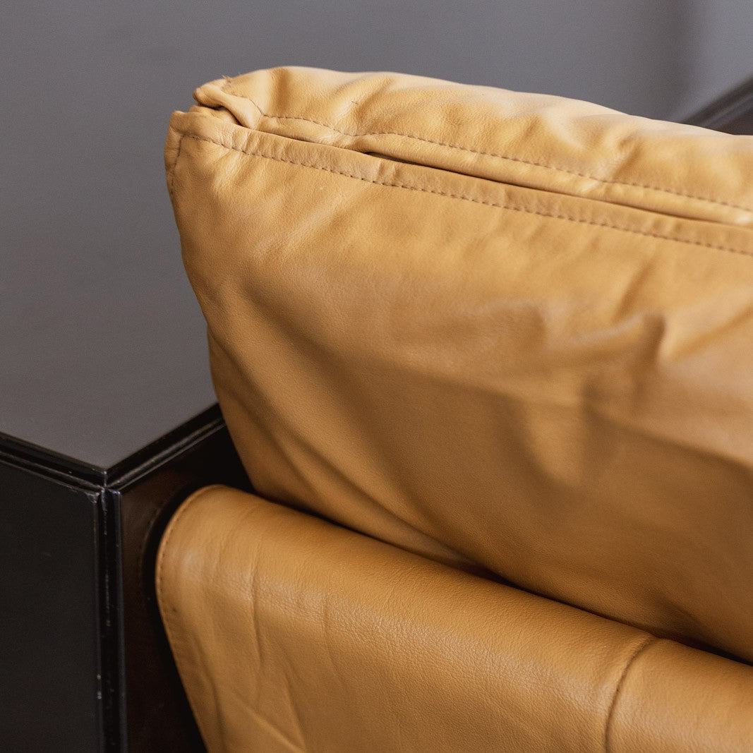Cannetta & Spinelli "Alfiona" Sofa for Arflex, 1980