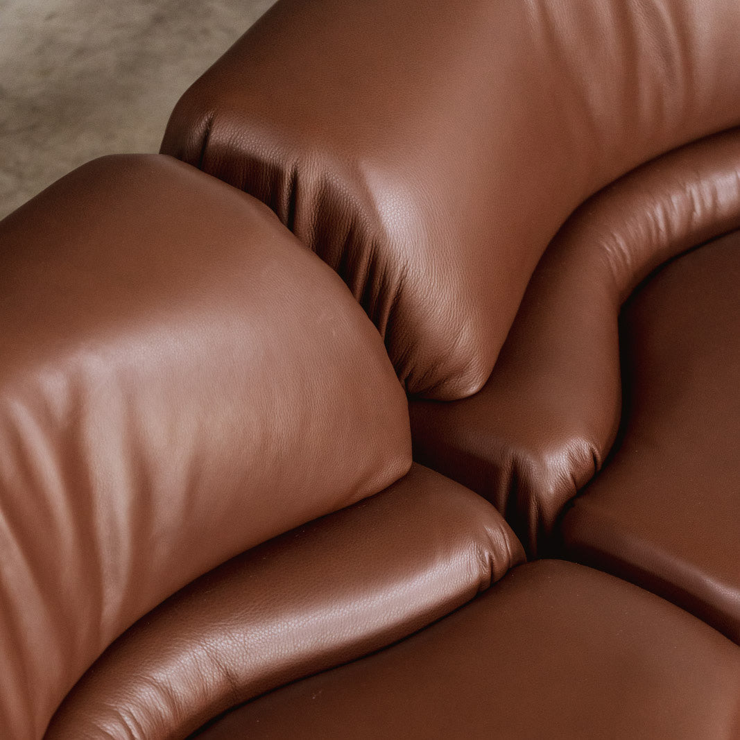 De Sede "DS-28 Cosmos" Modular Sofa for De Sede, Brown Leather, Switzerland, 1970