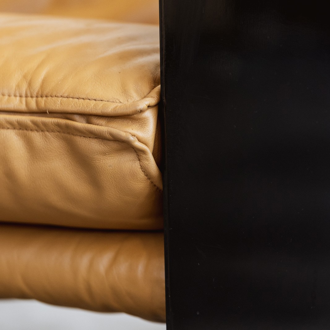 Cannetta & Spinelli "Alfiona" Sofa for Arflex, 1980, 1980