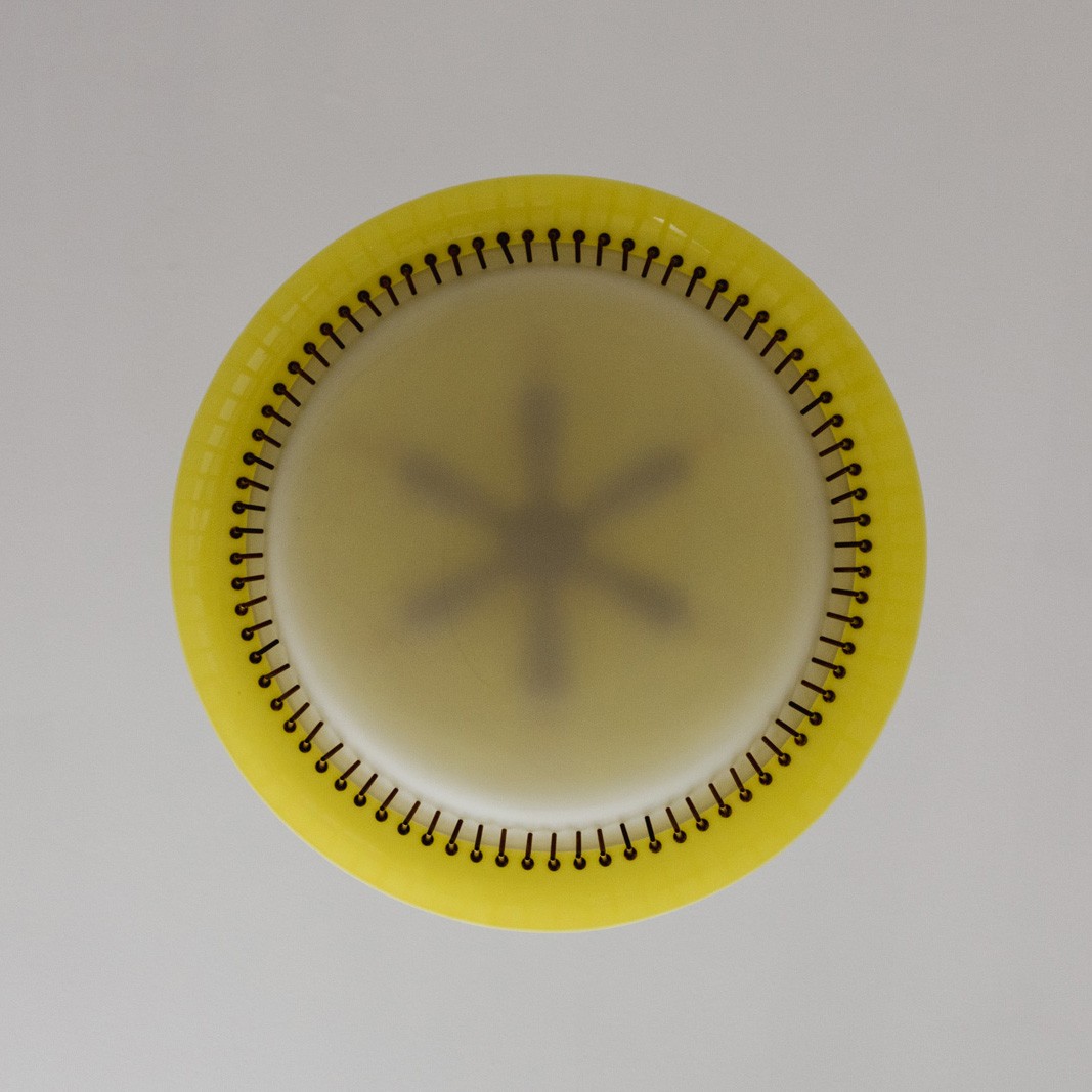 Angelo Lelii "12697" Ceiling Lamp for Arredoluce, 1958, 1958