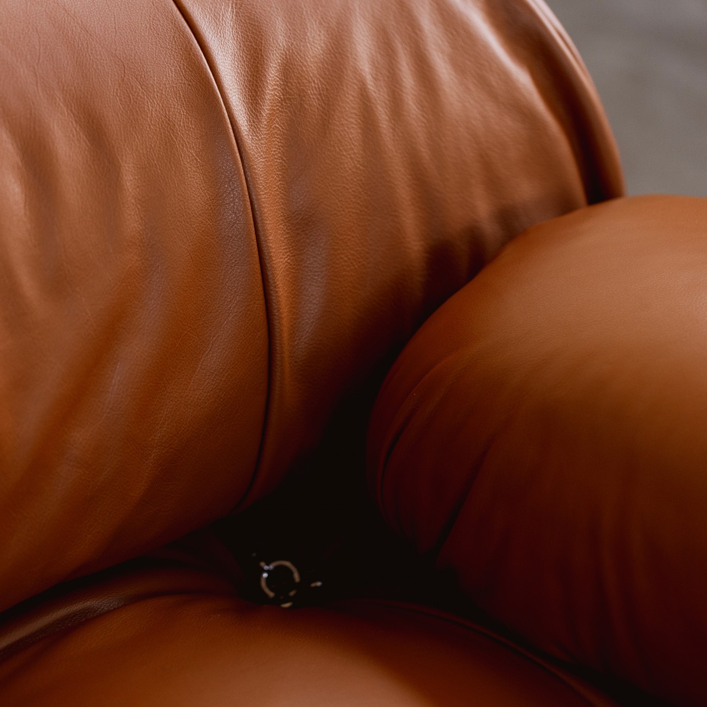 Mario Bellini "Camaleonda" Modular Sofa for B&B Italia, Cognac Leather, 1970, Set of 6, 1970